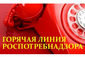 Управление Роспотребнадзора по Саратовской области с 14 по 25 августа 2023 года организует работу «горячей линии».